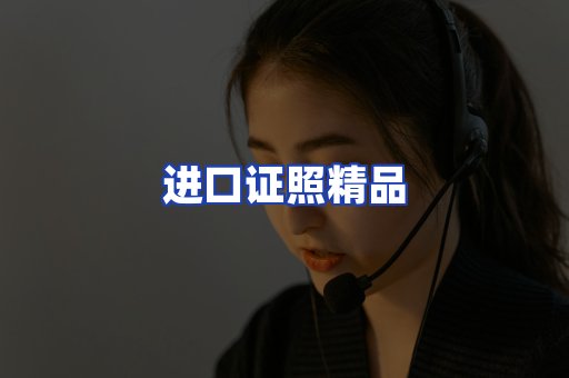 进口证件页面制证